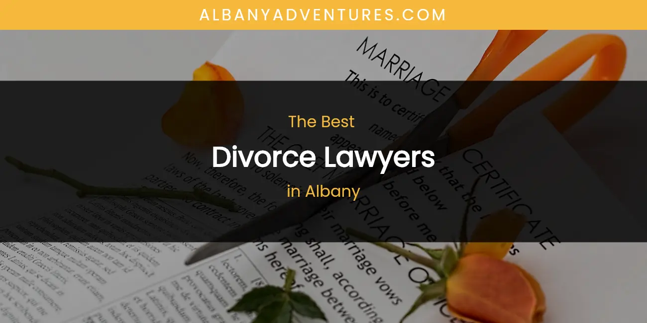 The Best Divorce Lawyers in Albany List